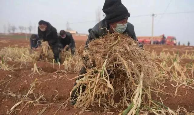 疫情我们能熬过去吗 (如果疫情再下去你能熬多久)