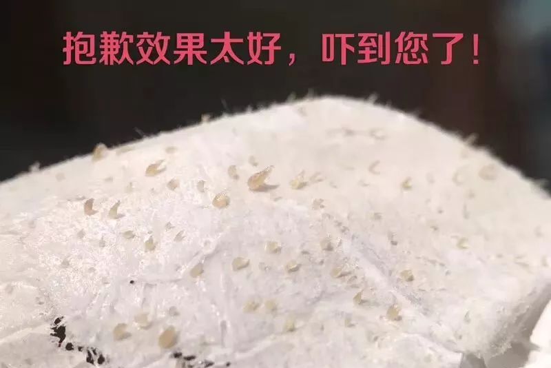 护肤品看到这些成分一定要扔掉,护肤品乱买时间久了又扔掉