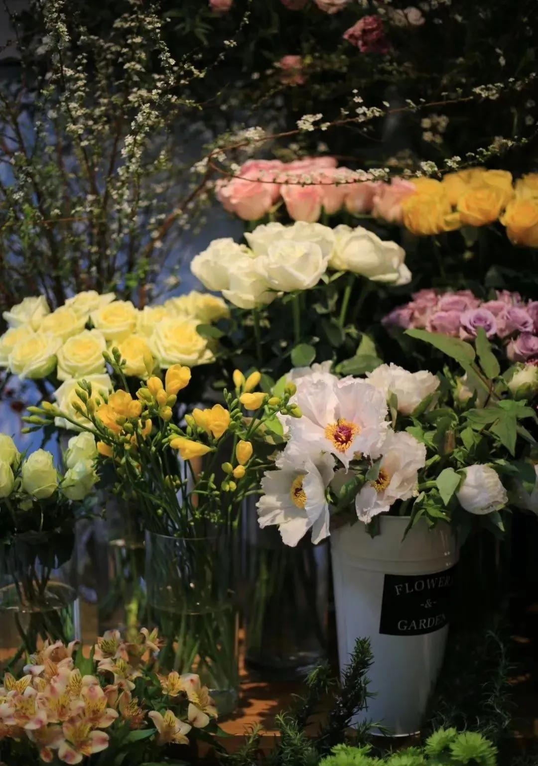 牡丹鲜切花：解语应倾国，无情亦动人