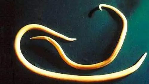 2个娃身上突然多处淤青，到底是谁虐的？