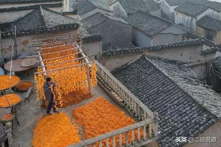 婺源篁岭油菜花摄影,婺源的秋天简直把摄影师逼疯