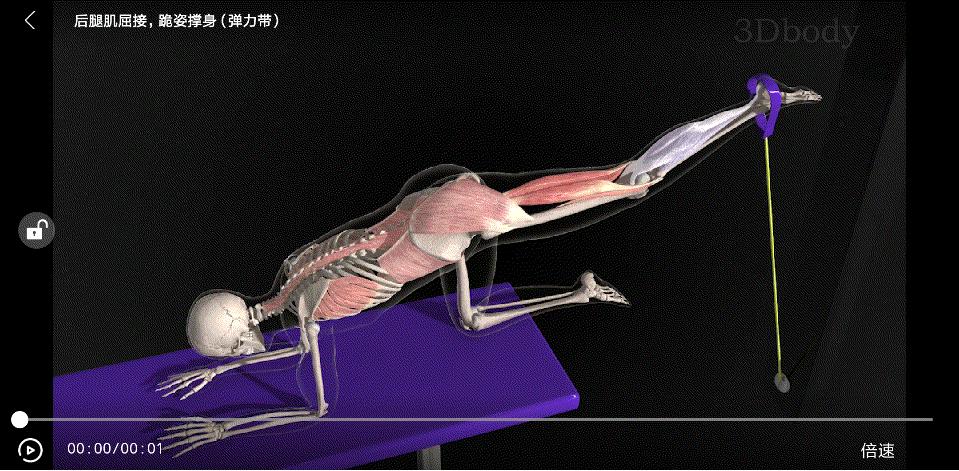 小腿粗壮按摩小腿会变瘦吗,怎么按摩小腿让小腿瘦下