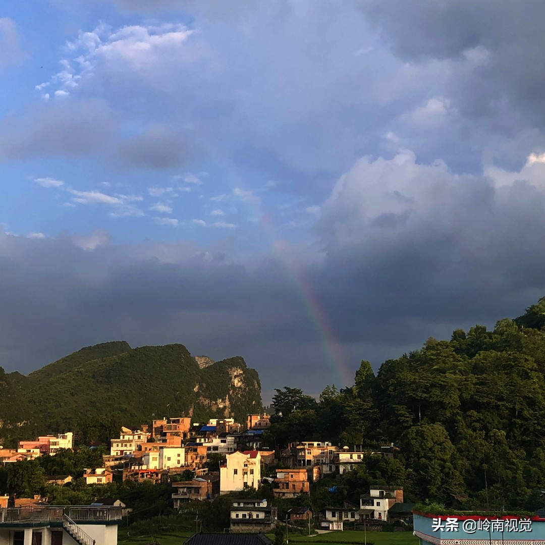 澶у鐢熺溂涓殑浜叉垰,澶у鐢熺溂涓殑鍏卞悓瀵岃