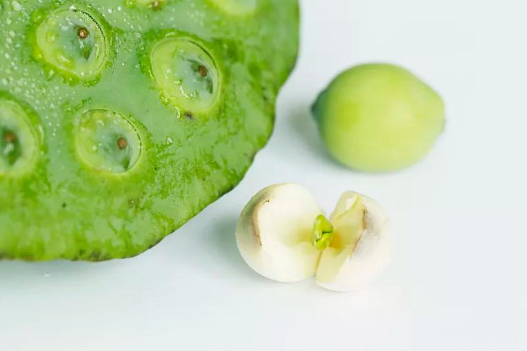 一鸽胜九鸡鸽子怎么吃才补身体,一鸽胜九鸡教你在家煲药膳鸽子汤