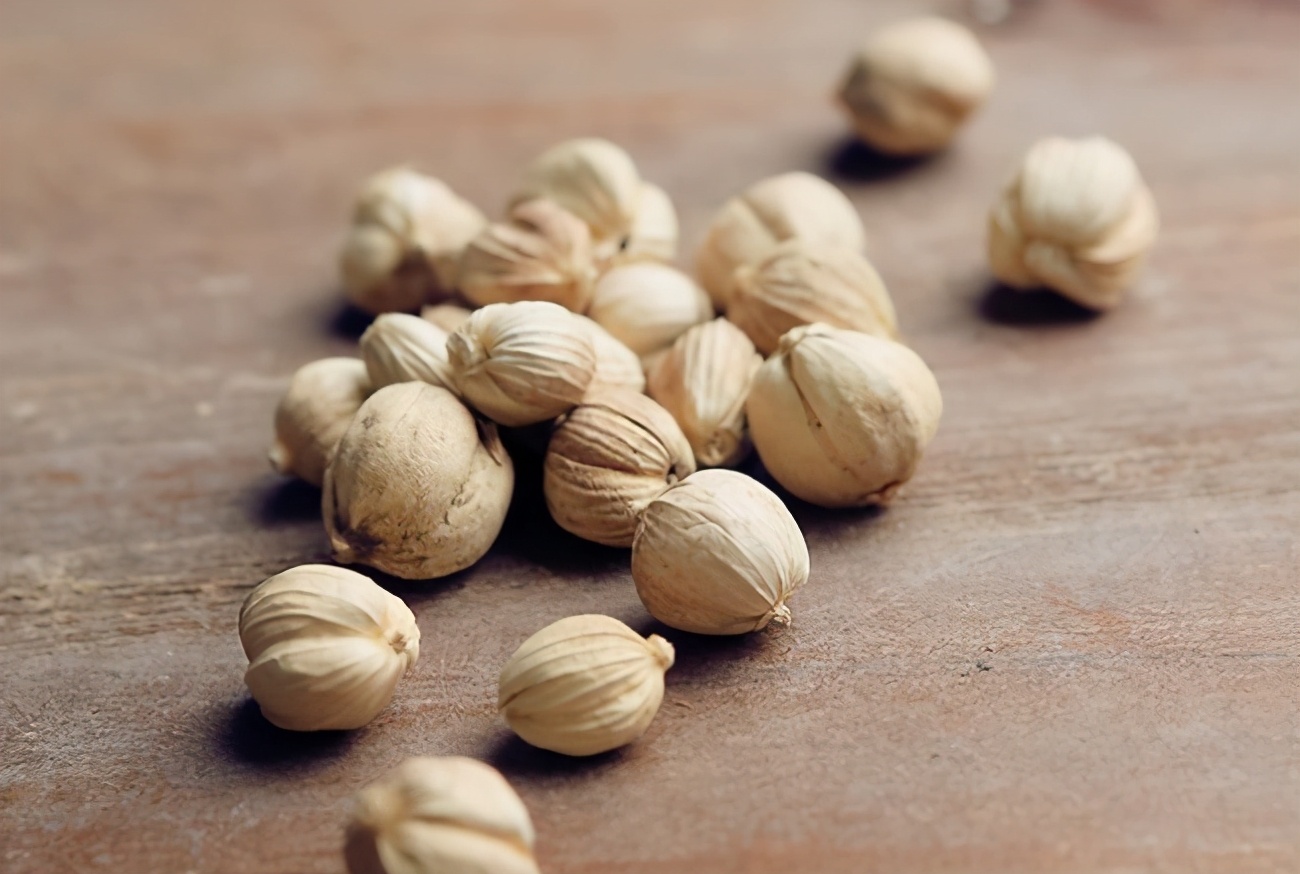 狗肉好吃汤又好喝的做法,狗肉煲的独特美味做法与搭配秘籍