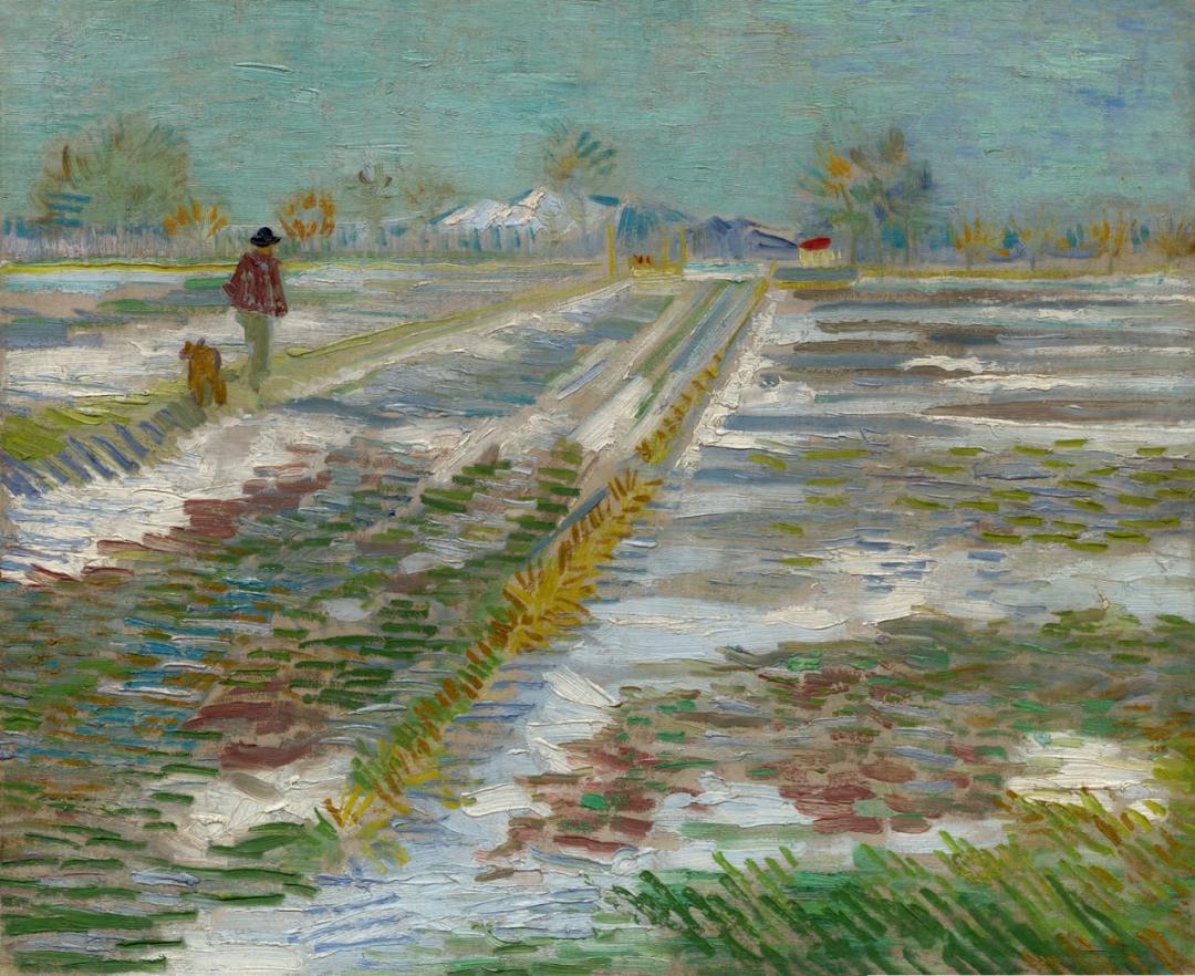 梵高一笔醒图,梵高发疯前最后一幅画