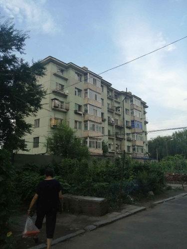 吉林炭素厂老照片,吉林炭素厂家