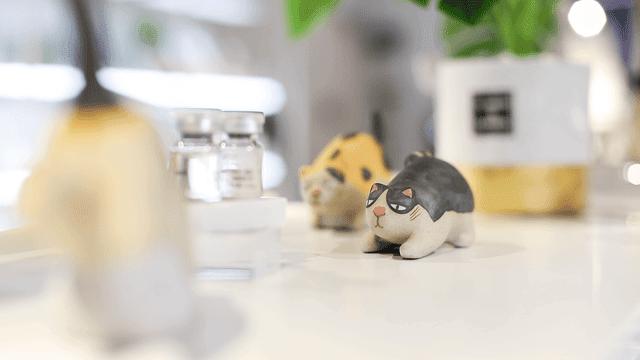 @所有猫控！万菱汇「猫咪美妆店」，任吸任摸！还有GD限量同款