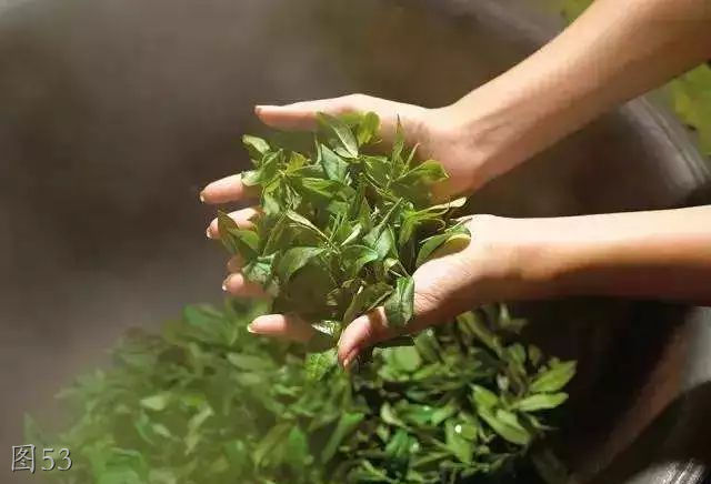 福建机械厂老照片,老照片里的江西工业记忆