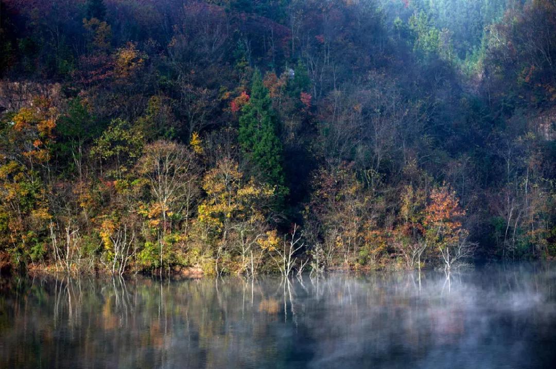 藏着最美秋景，石柱原始森林中的这块“明镜”美绝了！
