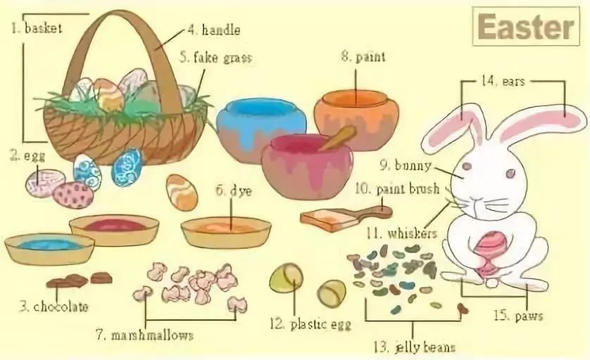 25张图让你记住中学英语所有生活用词（下）