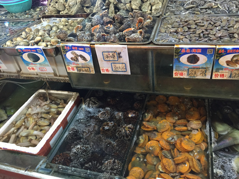 蜜月去海南,三亚蜜月旅行攻略最新