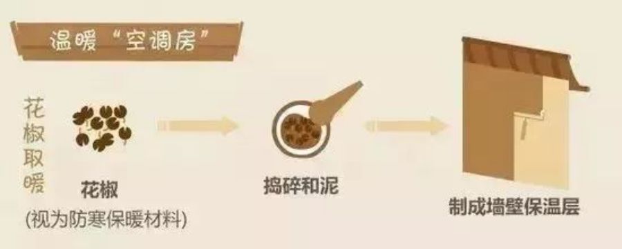 宋朝棉花种植记载,棉花种植在明代普及全国