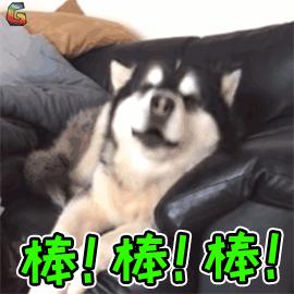 狗狗用哪个牌子的卵磷脂比较好,卵磷脂怎么吃能让狗狗毛发浓密