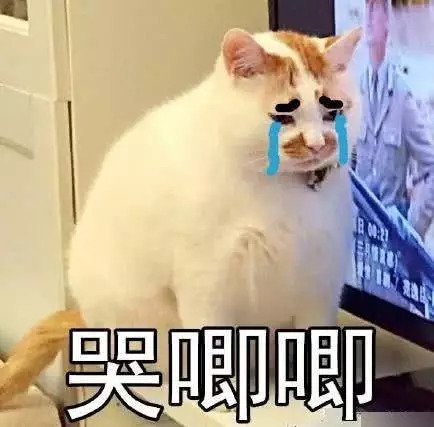 隔离妆前乳和隔离的区别,隔离妆前乳能不能入手