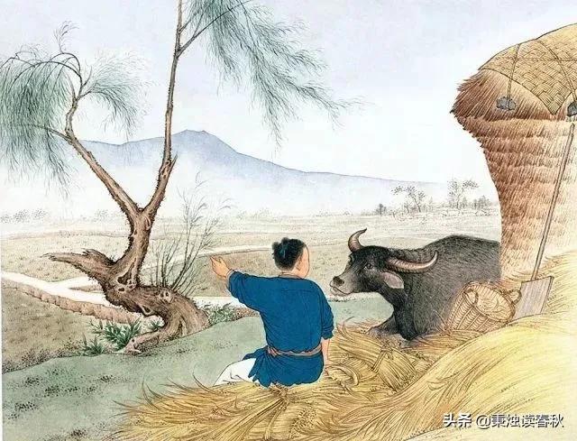 为什么把七夕节称为情人节呢,七夕节为什么也叫情人节呀