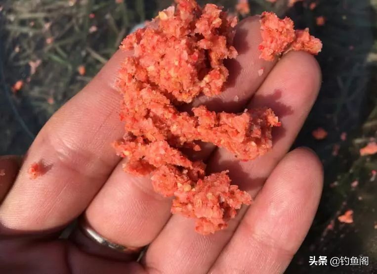 野战蓝鲫x5野钓鲤鱼开饵,十款经典的鲤鱼饵
