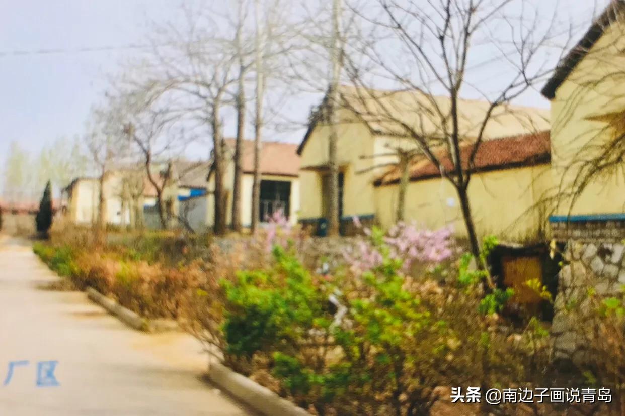 精彩青岛：内蒙古路，青岛工具厂备战备荒搬迁，曾获中央军委感谢