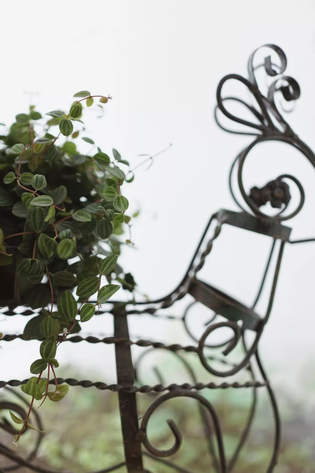 上海二手房学区房,2024年上海二手学区房