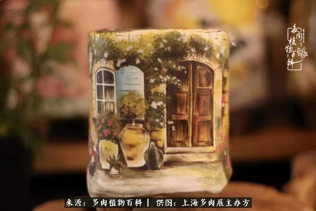 2023多肉展会直播,2023上海多肉植物展