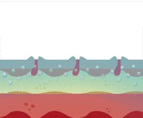 女孩专用补水面膜,女孩子专用面膜