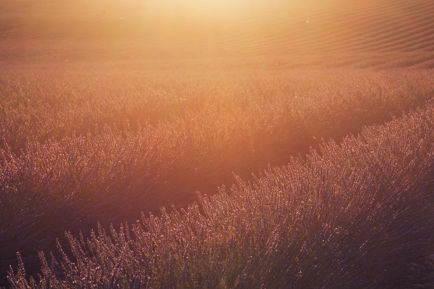 镜头中怎么拍出阳光光晕,各种光晕的拍摄技巧