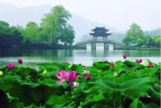 这是最值得收藏的旅行清单，顺着24节气，带娃游遍中国