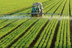 农村人越来越少土地怎么办,农村人口越来越少了怎么办