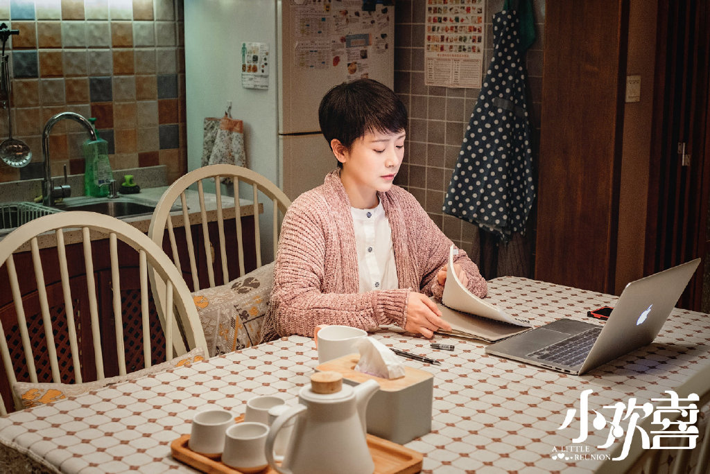 小欢喜童文洁怀孕英子安慰磊儿,小欢喜童文洁后来又怀孕了吗