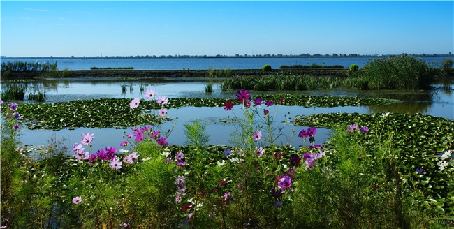 宁河区鱼米之乡,天津宁河县简介