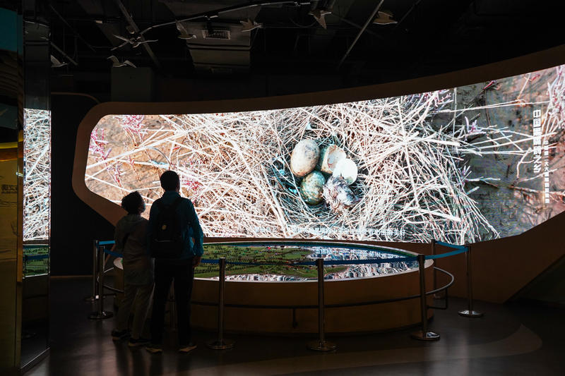 山东周边游2天1夜小众,5.1山东五日游