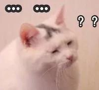 中华田园猫优点和缺点,中华田园猫有哪些品种