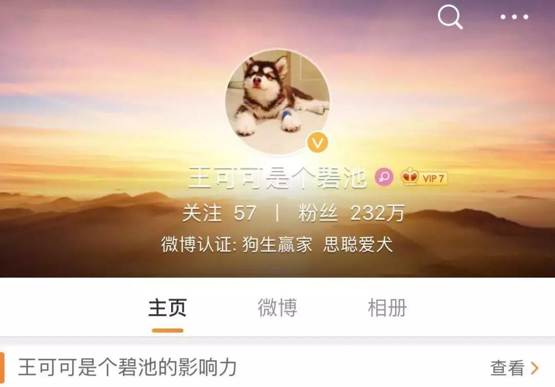 开宠物店的真实生意,开宠物店的投资收益与风险分析