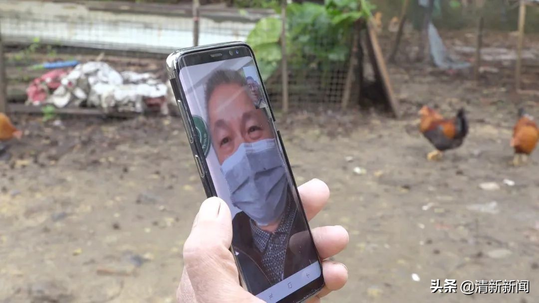 驻村工作队帮村销售散养鸡,驻村干部帮助村民销售农产品