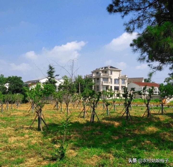 箭在弦上不得不发扮演者,箭在弦上不得不发指什么