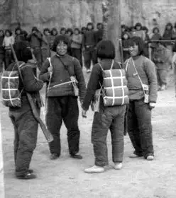 奶奶的牡丹院：牧雷（131）火烧公馆斩断牵挂（长篇连载）