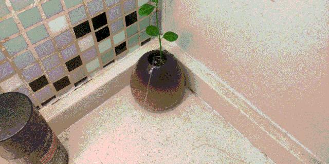 真正能用的超声波洁牙仪有哪些,智能全自动口腔清洁器