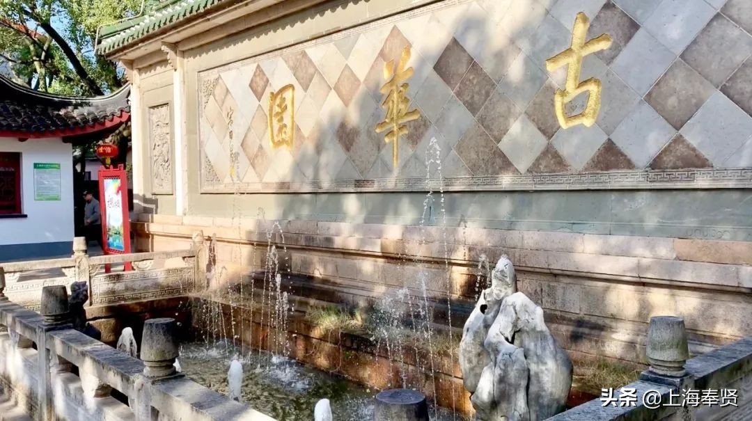 奉贤五一游玩打卡的地方,奉贤休闲度假游玩攻略