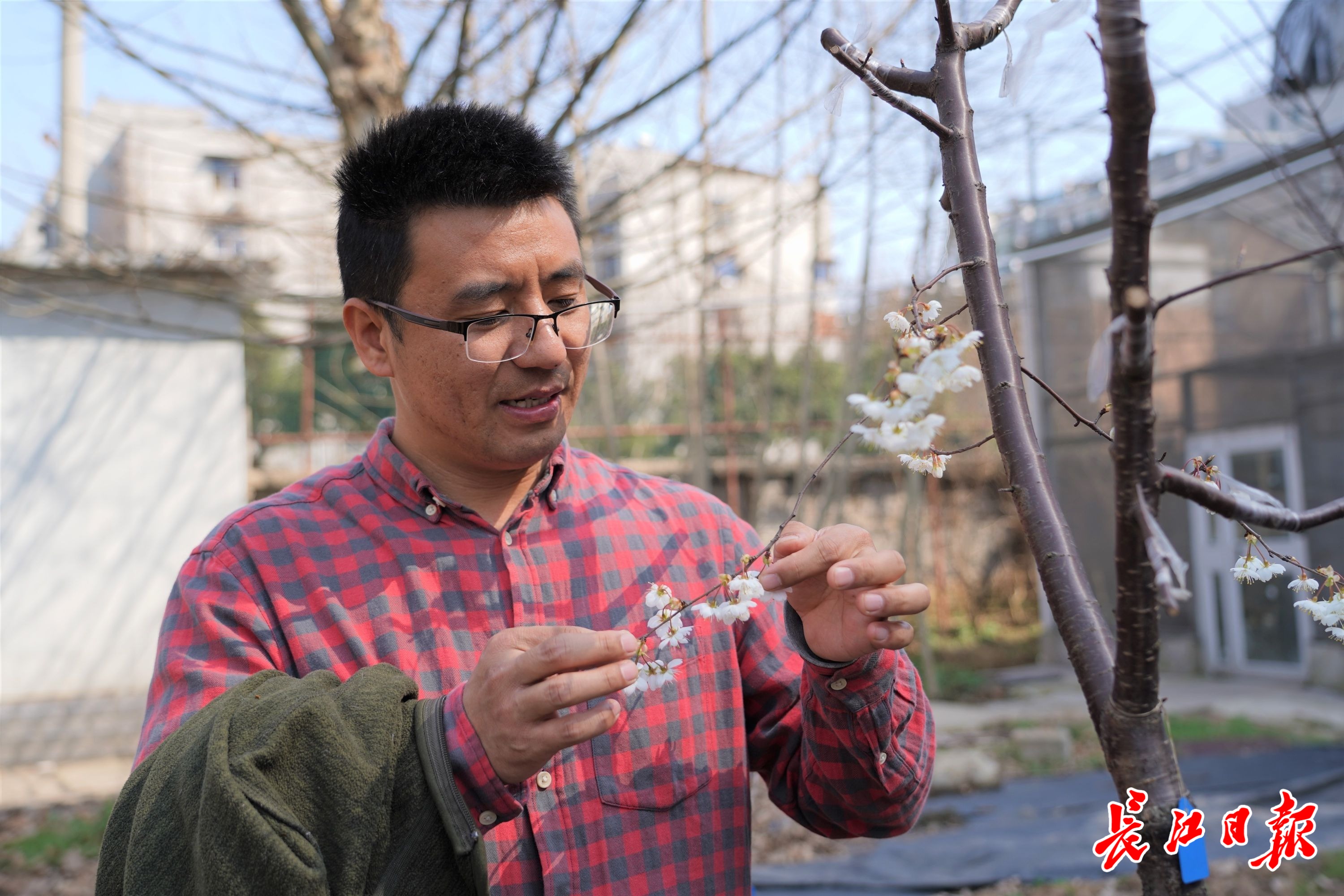 2022武汉免费赏樱花的地方,欢迎来武汉东湖观赏樱花