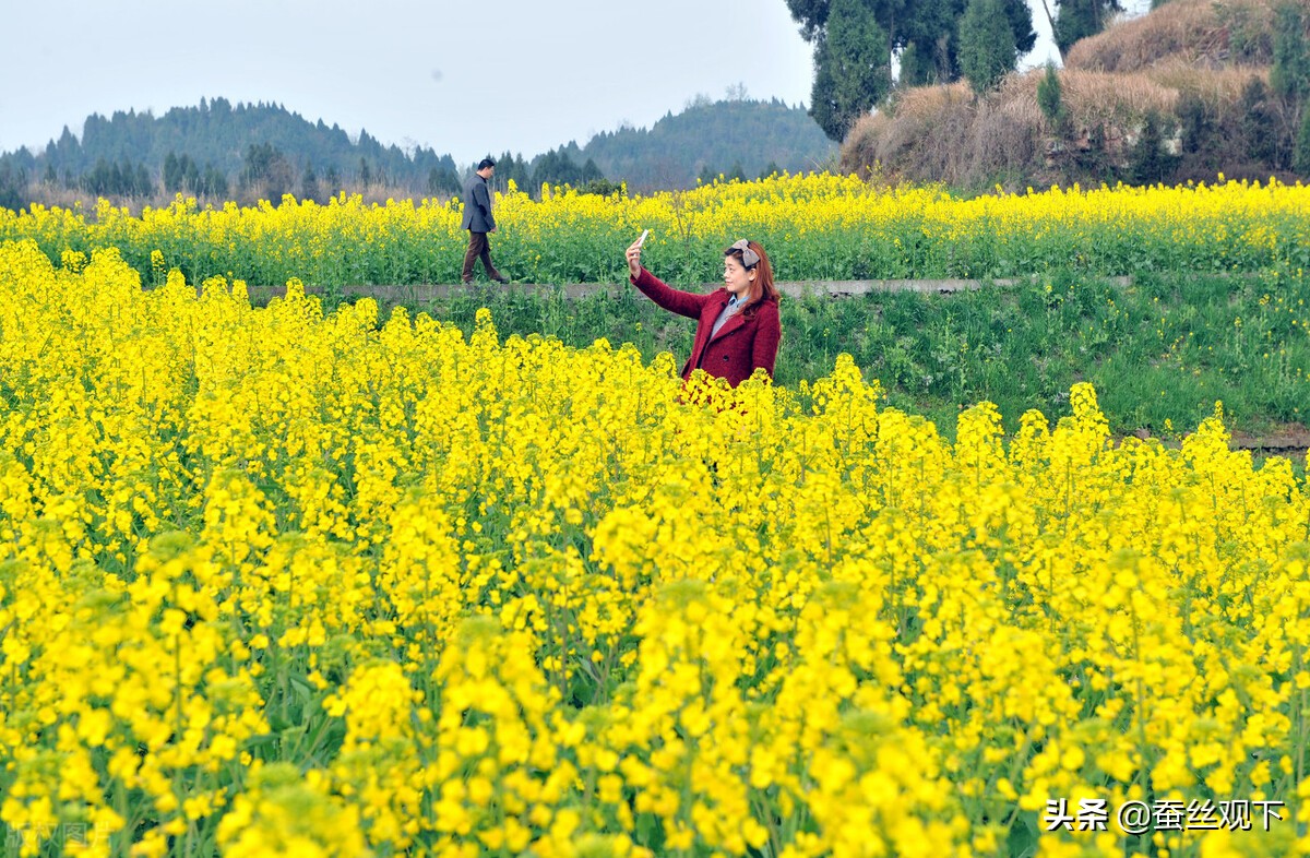 南充和达州谁会成为经济副中心,达州南充两个城市谁的发展前途大