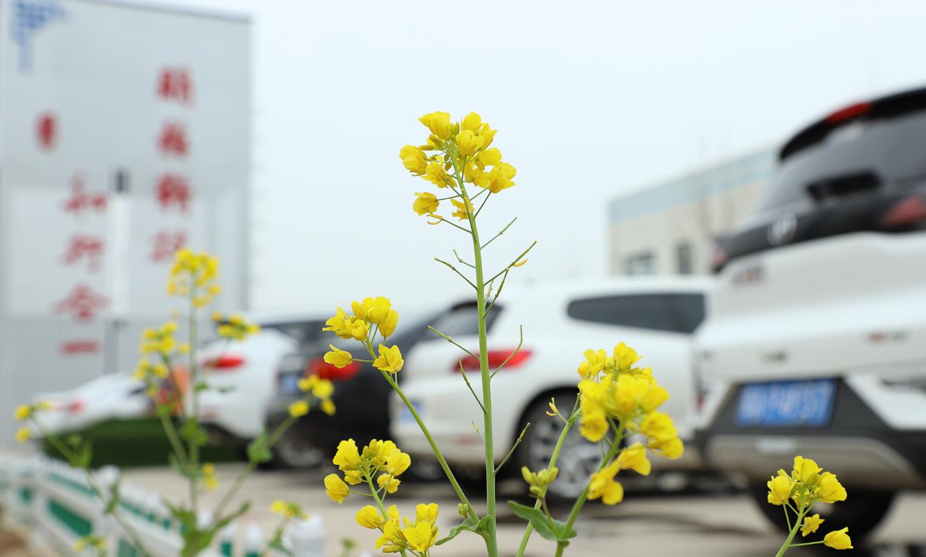 汽车美容行业发展现状和前景,汽车美容装潢前景如何