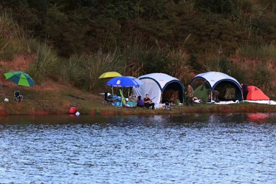 钓鱼竿为什么不绝缘,钓竿哪个牌子好