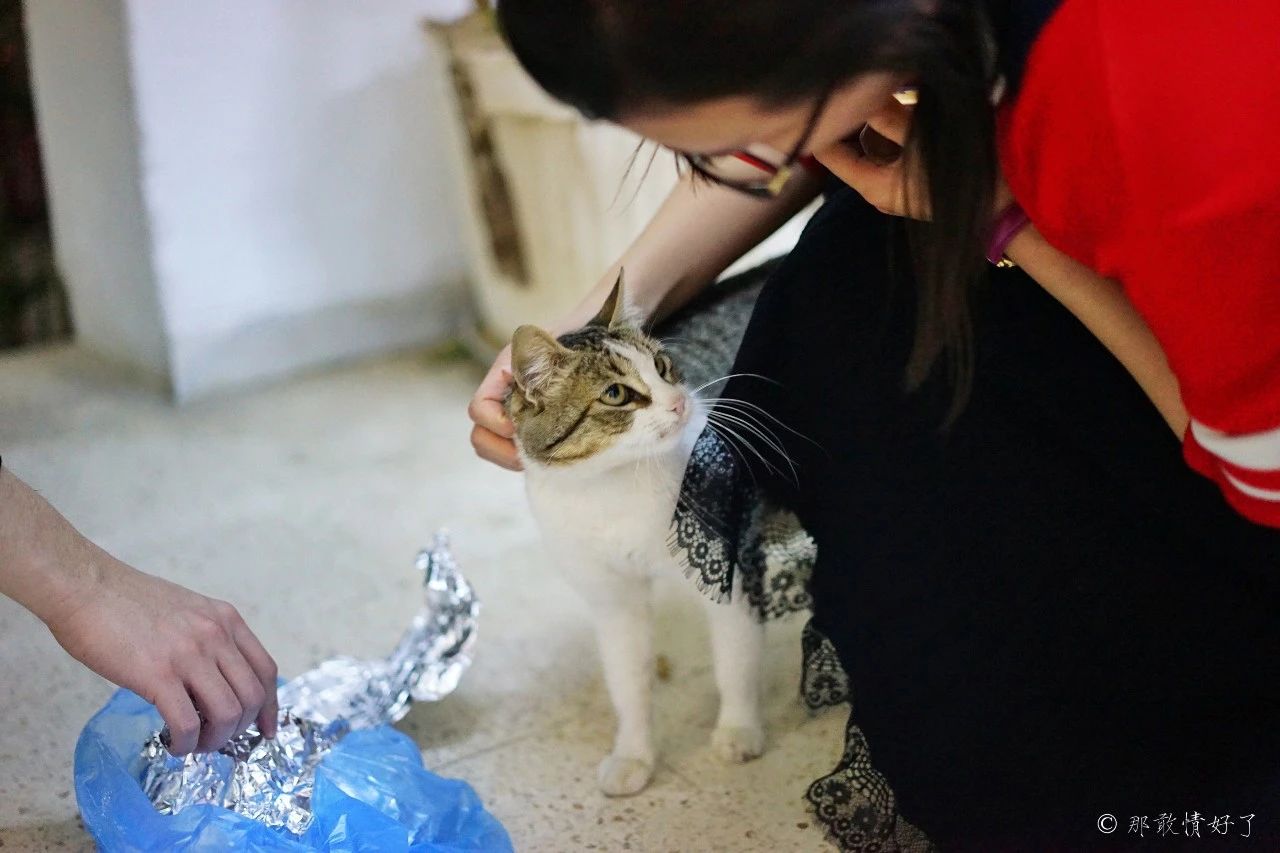 摩洛哥突尼斯旅游,与摩洛哥接壤的国家