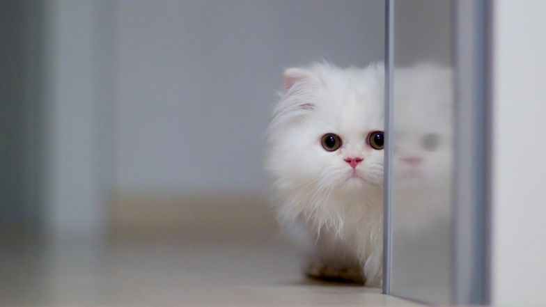 炒股10多年来我的感悟,炒股10年15条投资感悟