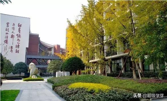 小升初升学必备资料有哪些,成都小升初择校最佳方案和时间