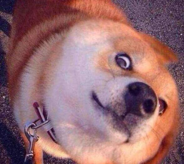 直男必备的聊天话术软件大全,社交软件陌生男孩聊天开场白