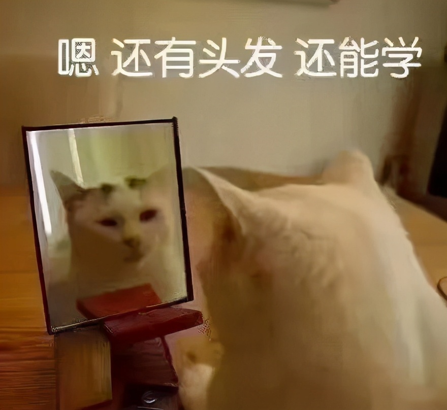 想放弃考二建了,二建不想考了想放弃怎么办