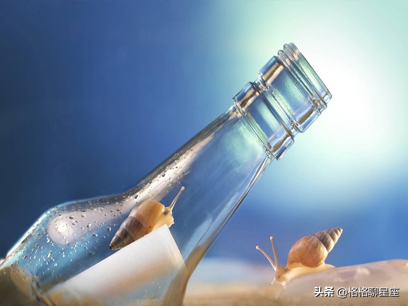 2022年桃花满天飞的星座,粉红泡泡的星座