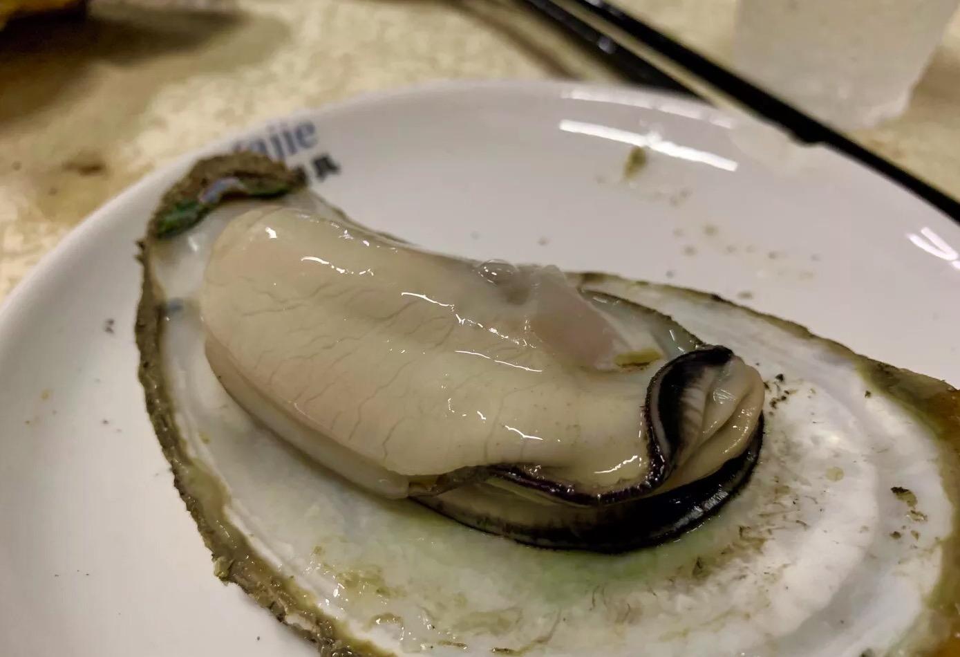 今夏“足球迷”三宝：欧冠、烧烤、啤酒