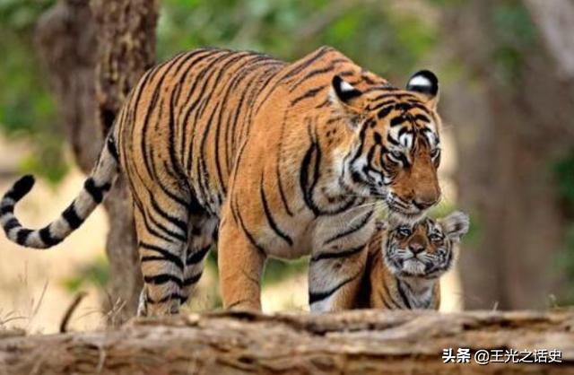 孟加拉为什么富人区旁边有贫民窟,孟加拉贫民区现状